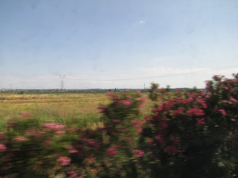 jul2013865.jpg