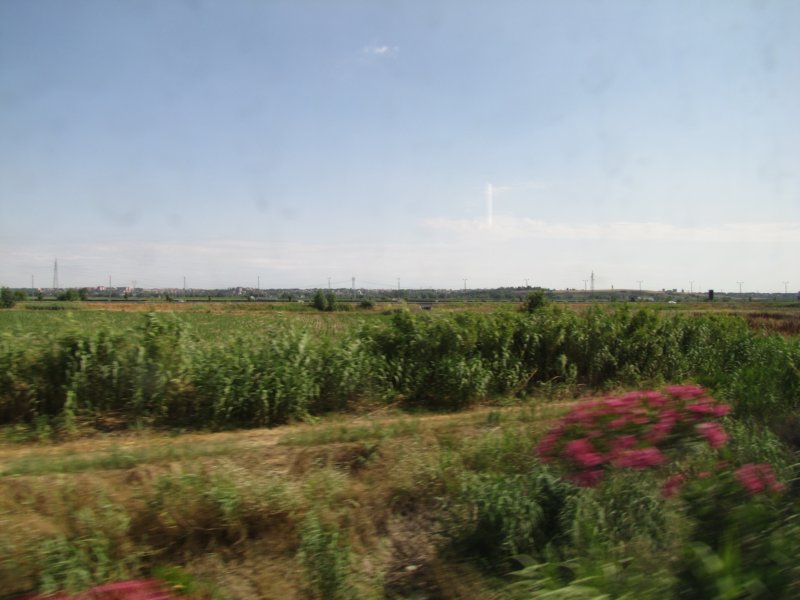 jul2013870.jpg
