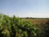 jul2013877_small.jpg