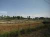 jul2013899_small.jpg