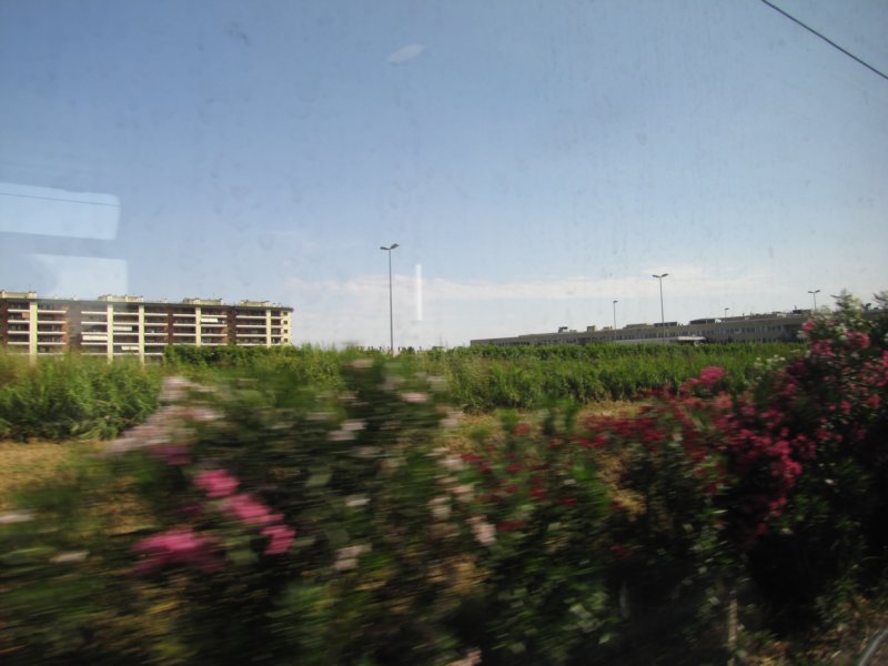 jul2013921.jpg