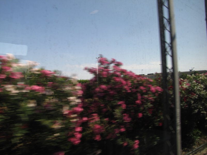 jul2013922.jpg