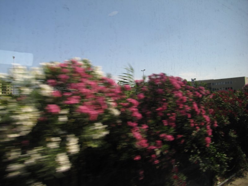 jul2013924.jpg