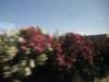 jul2013924_small.jpg