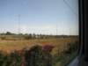 jul2013930_small.jpg
