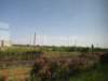jul2013939_small.jpg