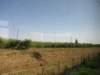 jul2013941_small.jpg
