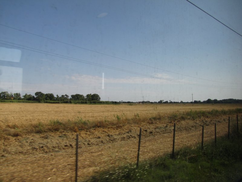 jul2013951.jpg
