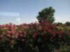 jul2013964_small.jpg