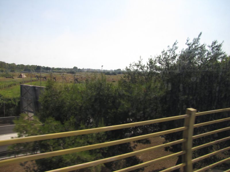 jul2013971.jpg