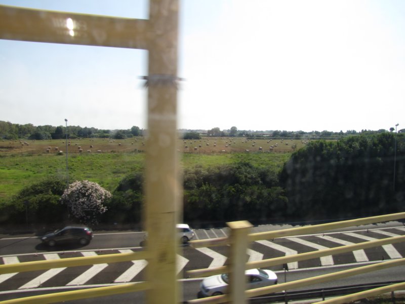 jul2013973.jpg