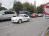 alpinea1064_small.jpg