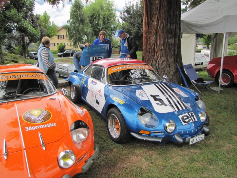 alpinea11019704.jpg