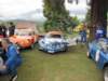 alpinea11019705_small.jpg