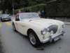 c14austinhealeybn1lemans1954_small.jpg