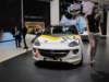 opeladamr26_small.jpg