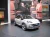 opeladamrocks29_small.jpg