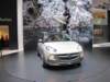 opeladamrocks8_small.jpg