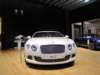 bentleycontinentalgt4_small.jpg