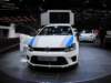 volkswagenpolorwrc10_small.jpg