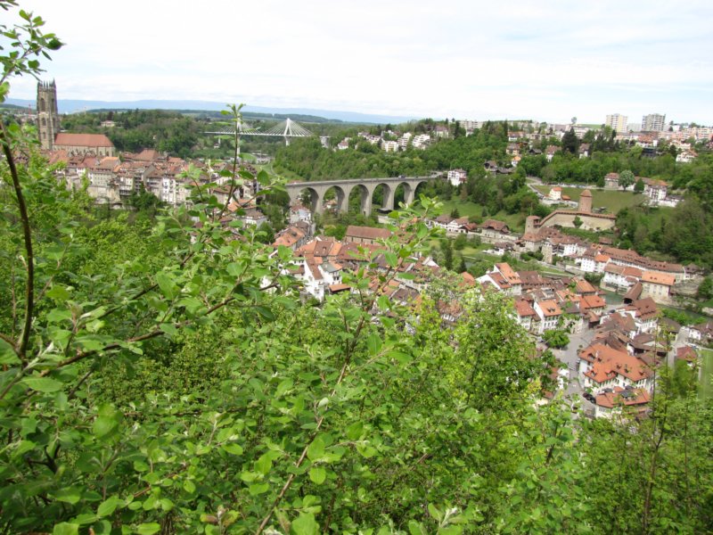 fribourg26.jpg