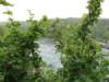 rheinfallschaffhausen20_small.jpg