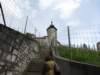 schaffhausen51_small.jpg