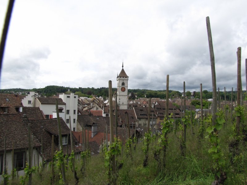 schaffhausen52.jpg