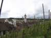 schaffhausen52_small.jpg