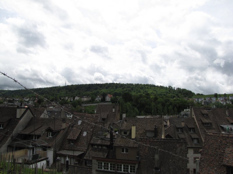 schaffhausen54.jpg