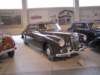 worblaufenlanciaaureliab5219532_small.jpg