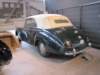worblaufenpeugeot2031949_small.jpg
