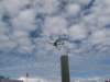 img_7874_small.jpg