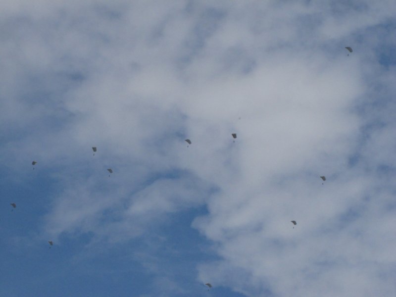 img_7923.jpg