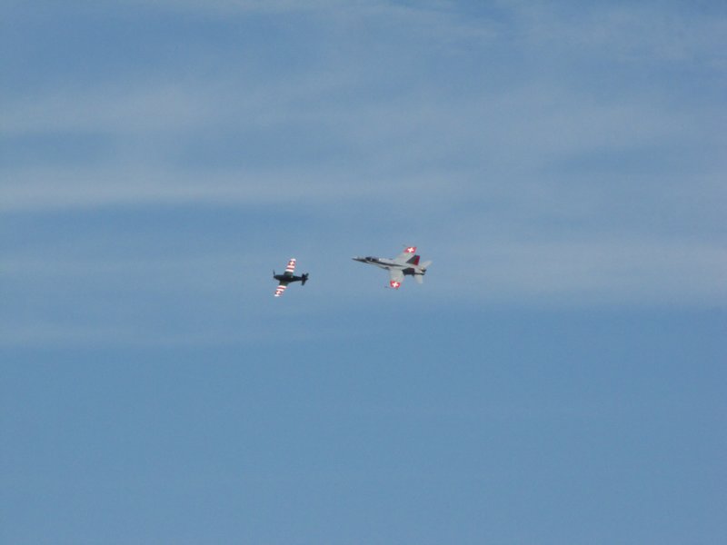 img_7949.jpg