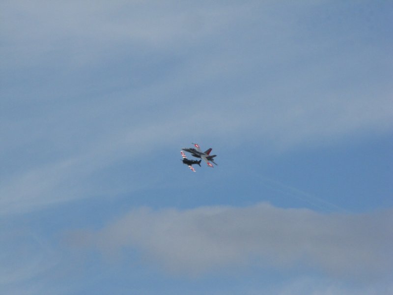 img_7951.jpg