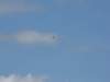 img_7954_small.jpg