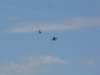 img_8000_small.jpg