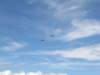 img_8009_small.jpg
