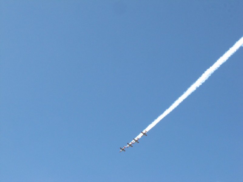 img_8106.jpg