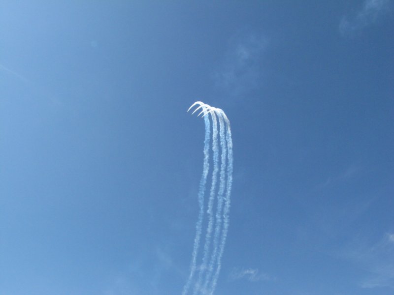 img_8109.jpg