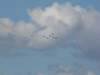 img_8237_small.jpg