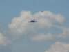 img_8274_small.jpg