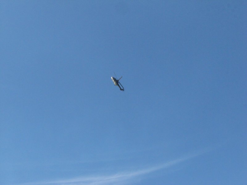 img_8281.jpg