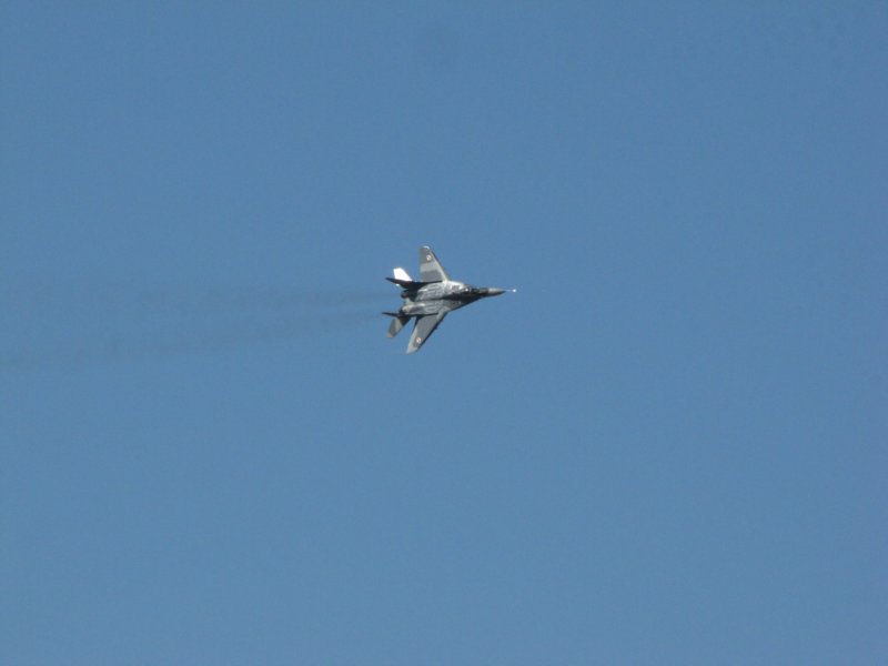 img_8290.jpg