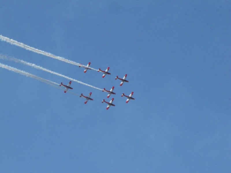img_8311.jpg