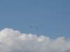 img_8324_small.jpg