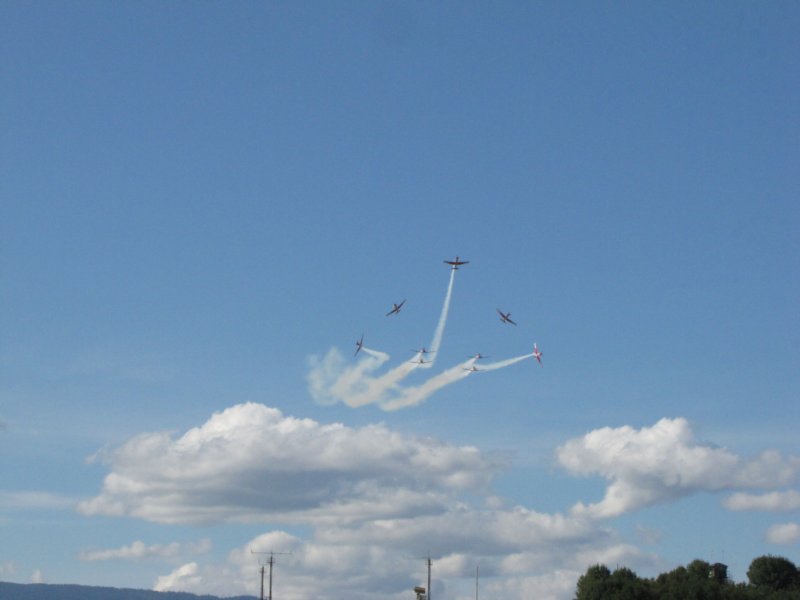 img_8331.jpg