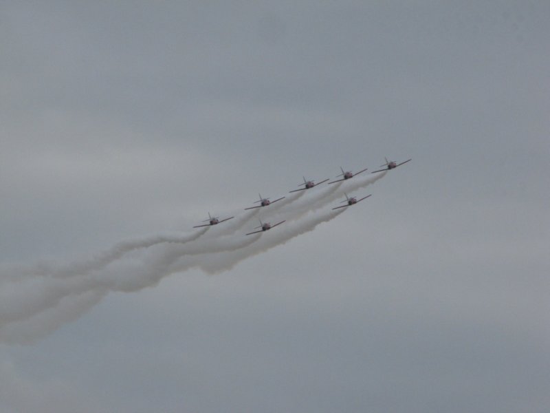 img_8385.jpg
