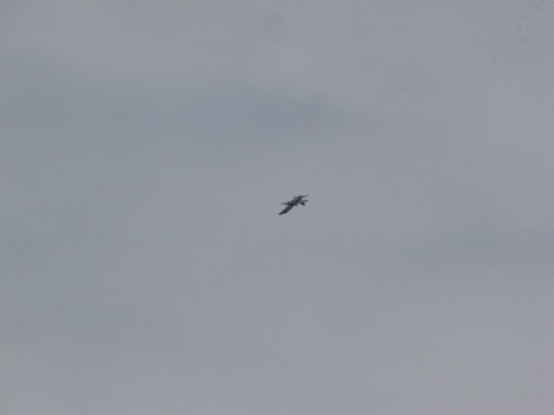 img_8445.jpg